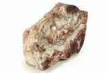 Polished Crazy Lace Agate Section - Mexico #283997-2